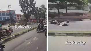 Sapi Kurban Lepas di Jalanan Pekanbaru, Ditabrak Motor Malah Bikin Pengendara Jatuh