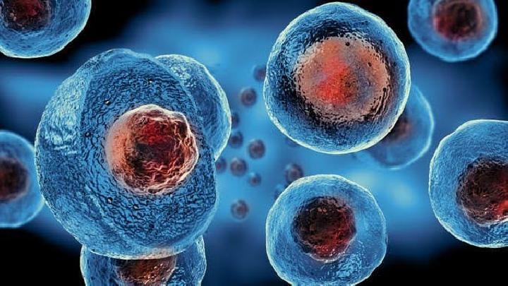 Mengenal Autophagy, Pembersihan Sel Saat Puasa yang Menyehatkan