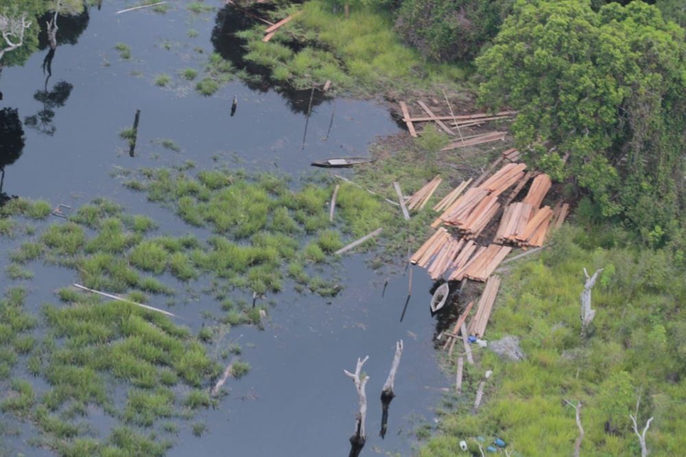 Kapolda Riau Komit Menjaga Hutan Dari Oknum Tak Bertanggungjawab