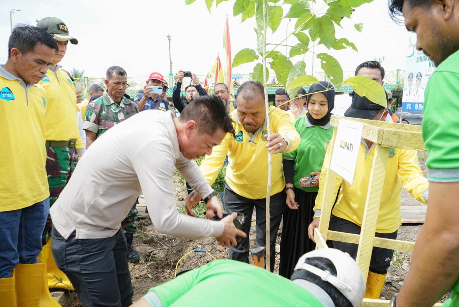 Peringati World Environment Day, Pemkab Rohil Tanam Ribuan Pohon