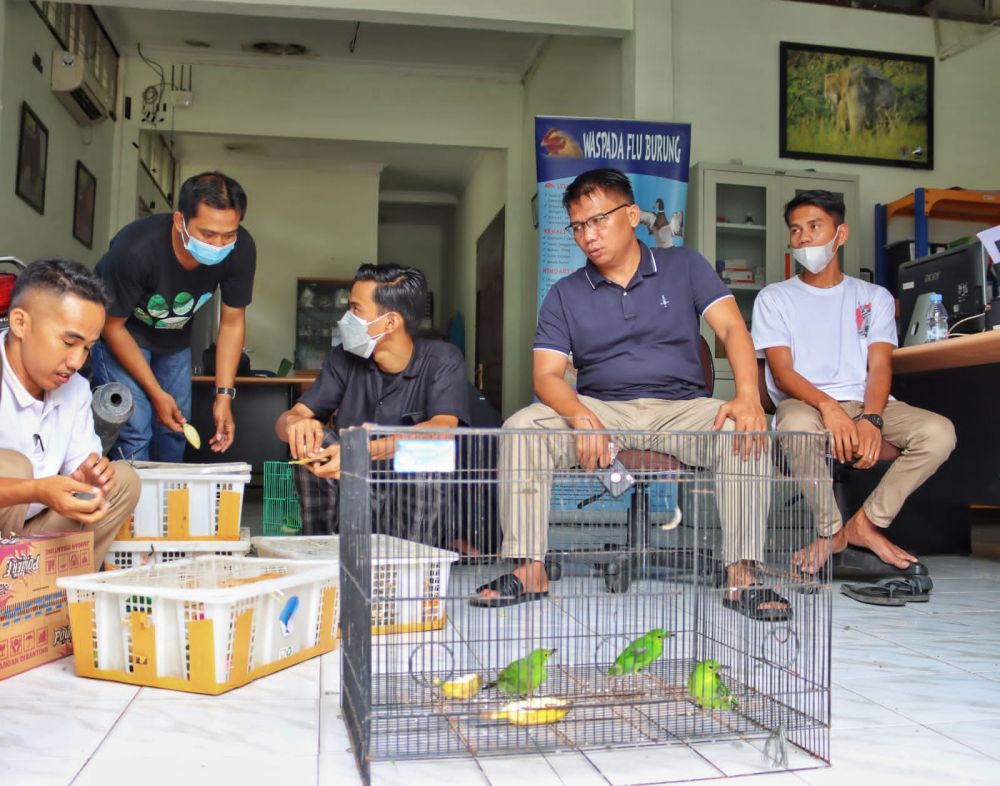 BBKSDA Riau Gagalkan Perdagangan Burung Dilindungi Jenis Cica 