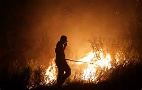 Polda Riau Tetapkan 79 Tersangka Pembakar Lahan