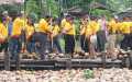 Bupati Inhil Dan Delegasi APCC Tinjau Proses Panen Kelapa di Tempuling