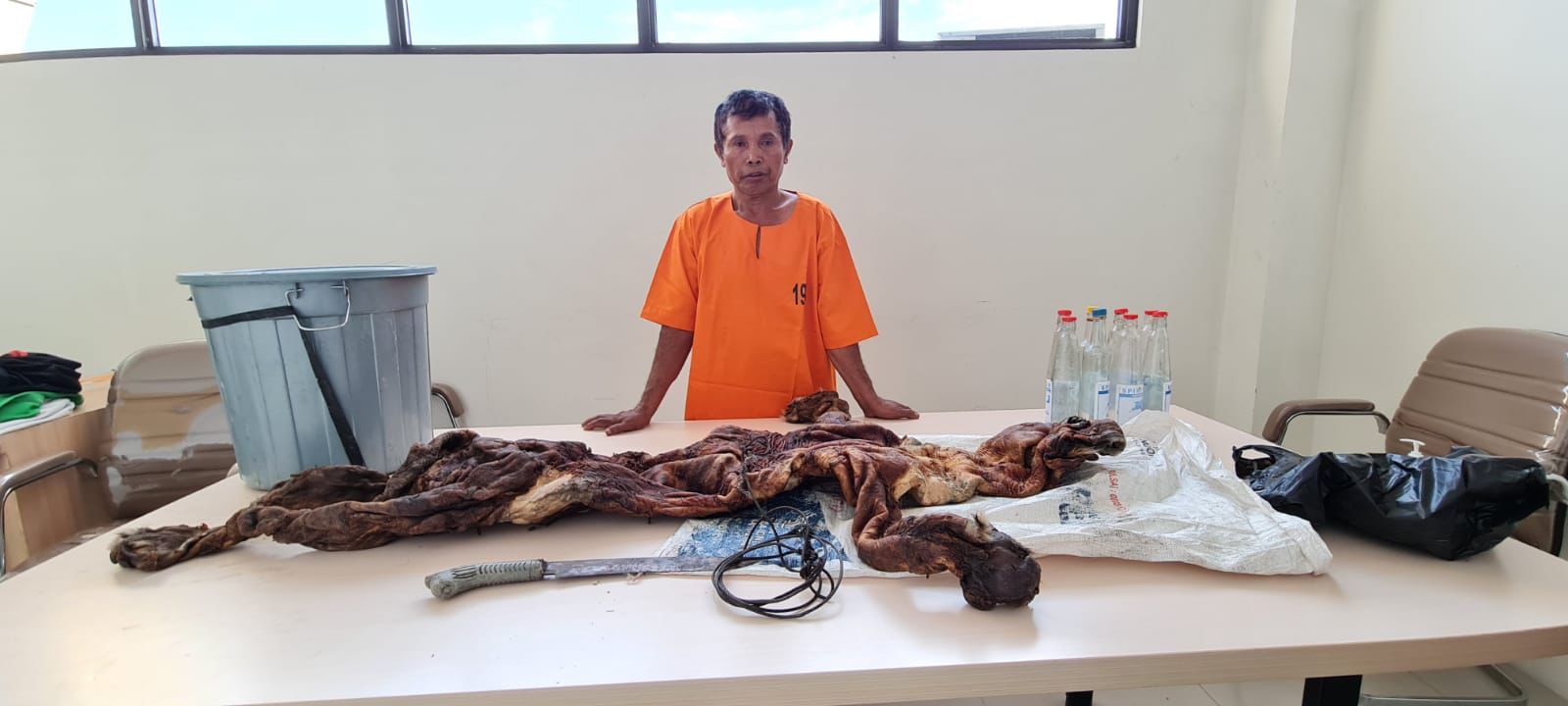 Polda Riau Gagalkan Perdagangan Kulit Harimau, Satu Pelaku Ditangkap