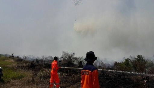 BPPD: Kebakaran Lahan di Riau Lebih dari 1.300 Hektare
