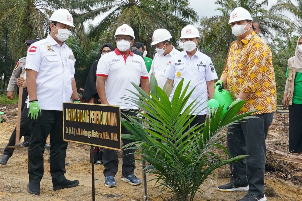 Tahun 2022, Pemprov Riau Targetkan Program Peremajaan Sawit Rakyat 14.900 Hektar
