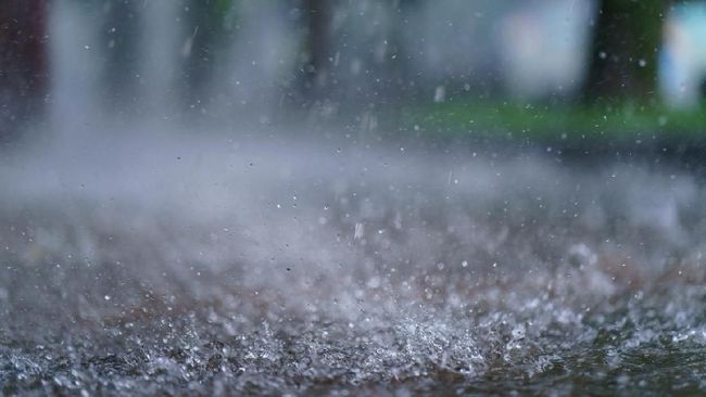 BMKG: Pelalawan dan Indragiri Hulu Waspada Hujan Lebat Disertai Angin Kencang Pada Malam Hari