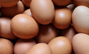 Peternak: Harga Telur Turun 2 Minggu Lagi