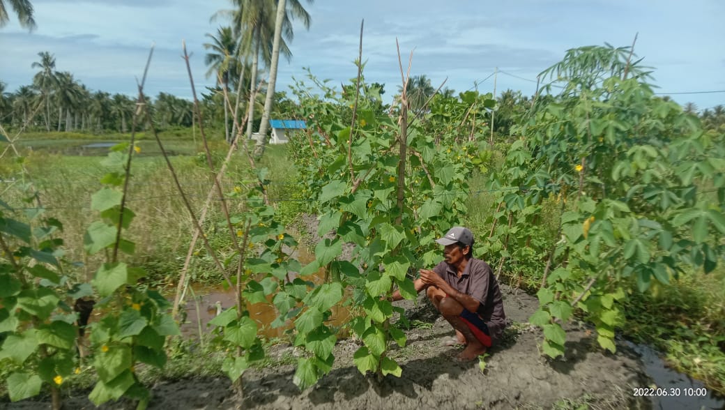 Banyak Petani Di Kecatan Bangko Tak Memperoleh Manfaat Dari Kartu Tani