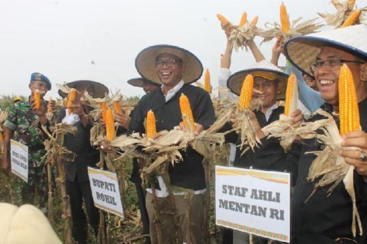 Menuju Swasembada Pangan Rohil Mengukir Prestasi Sektor Pertanian