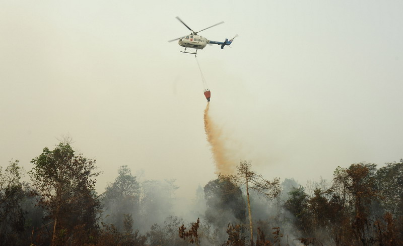 Karhutla Meningkat, Pemprov Minta Bantuan Helikopter Water Bombing