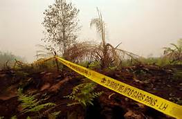 Dalami SP3 Kasus Karhutla, Mabes Polri Kirim Penyidik ke Riau