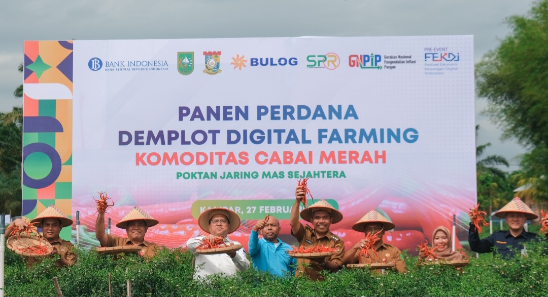 TPID Provinsi Riau dan TPID Kabupaten Kampar Panen Perdana Cabai Demplot Digital Farming
