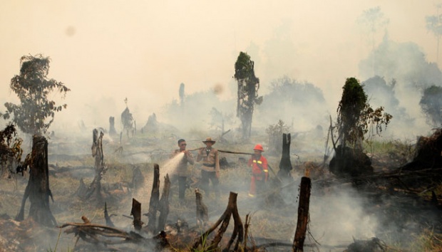 Polda Riau Tunggu Laporan Penyanderaan Penyidik KLH