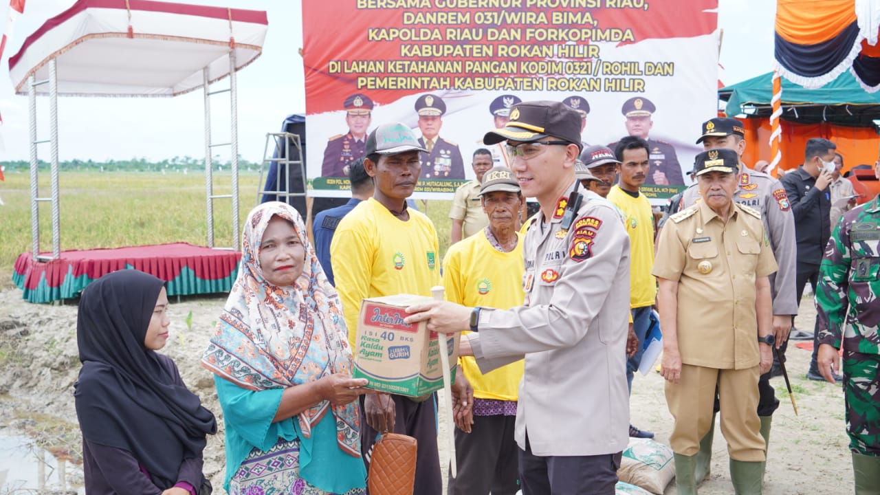 Gubernur Riau, Kapolda, Danrem, Bersama Bupati Rohil Panen Raya Padi di Rokan Baru