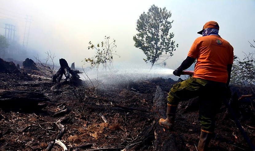 Polda Riau Sudah Periksa 20 Saksi Kasus Karhutla Dumai-Bengkalis