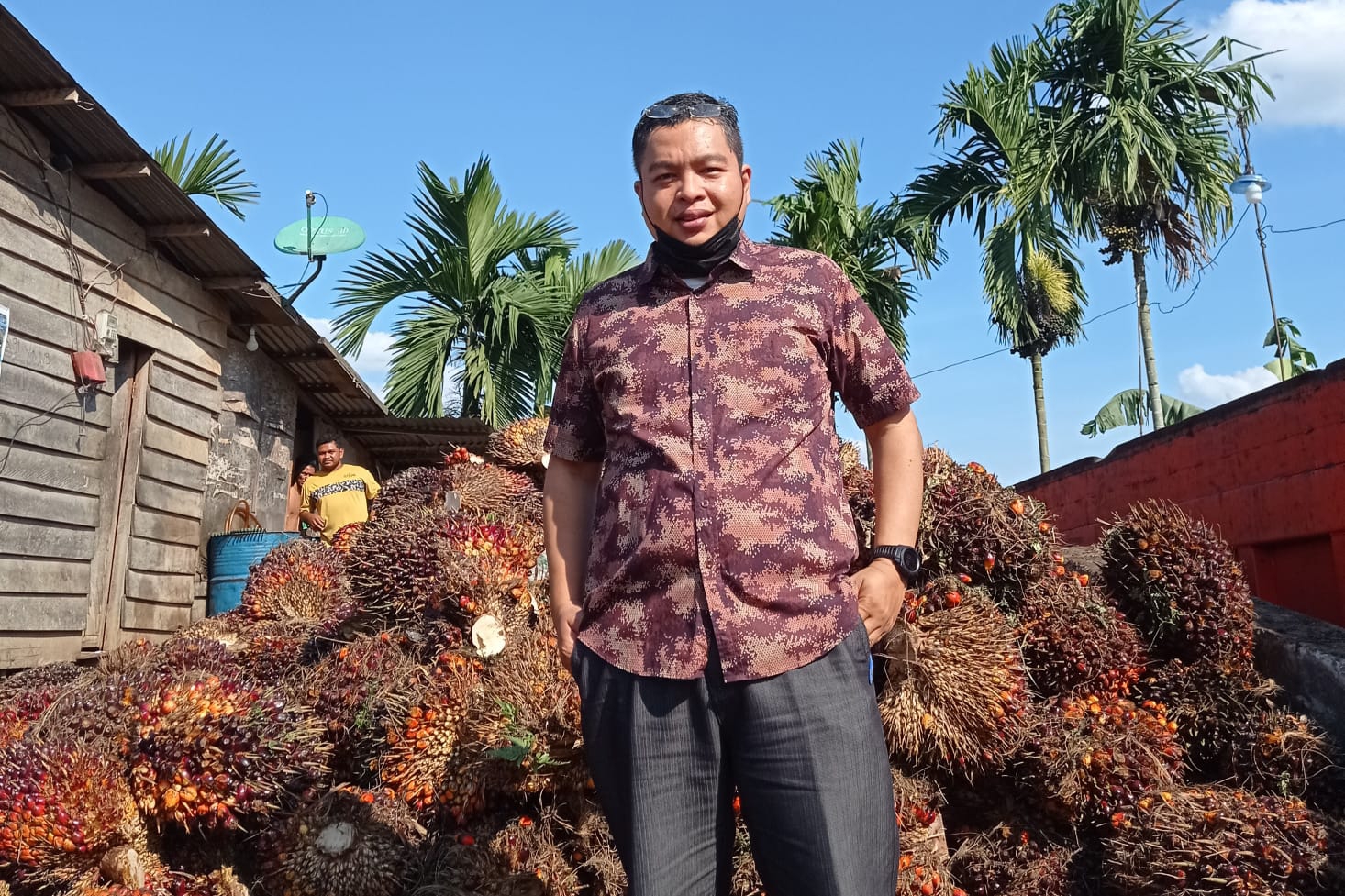 Minyak Sawit Mentah di Malaysia Naik Dorong Kenaikan Sawit di Riau