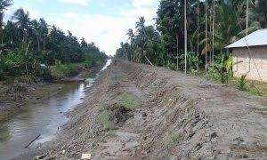 DPRD Inhil Targetkan Penyelamatan 12.500 Hektare Kebun Kelapa Rakyat