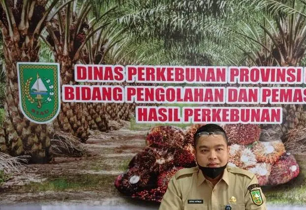 Harga CPO Makin Kompetitif di Riau
