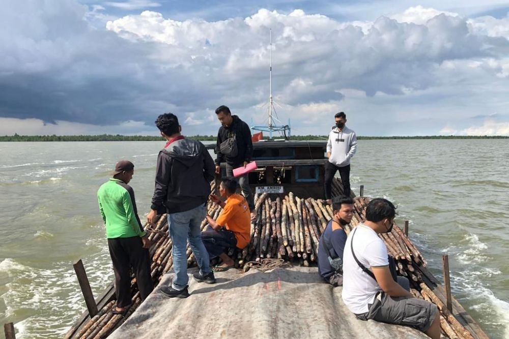 Polisi Gagalkan Pengiriman 3.200 Batang Kayu Bakau ke Malaysia 