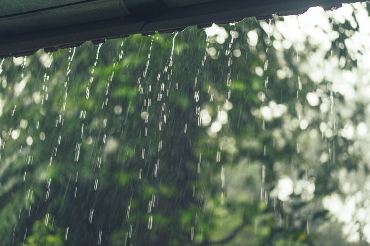 Prakiraan Cuaca BMKG Hari Ini: Provinsi Riau Hujan Sore Hingga Dini Hari