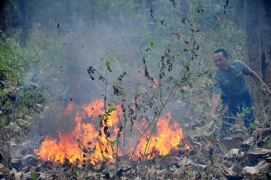 Satgas Kebakaran Hutan Riau Menangkap Pelaku Pembakaran Lahan