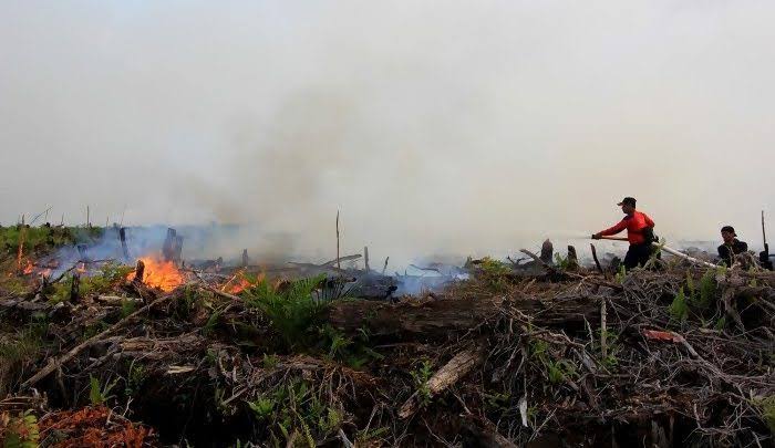 Sepanjang 2023, BPBD Catat 17,42 Hektar Lahan Terbakar di Pekanbaru