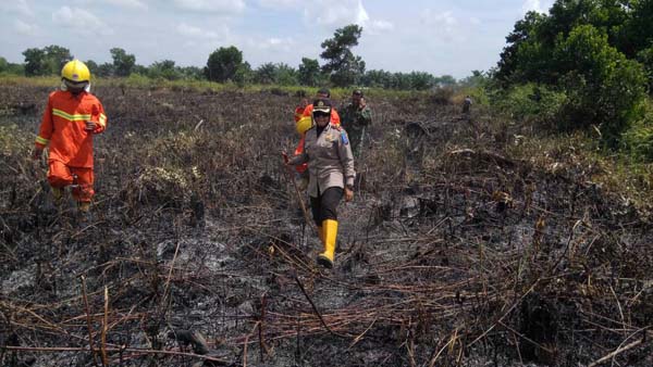 1 Hektare Lahan Gambut Terbakar di Pandau