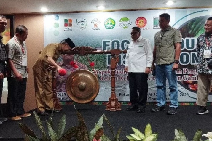 Disbun Riau Identifikasi 5.600 Hektare Kebun Sawit untuk Tumpang Sari