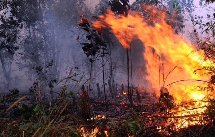 5 Hektare Lahan di Indragiri Hulu Terbakar