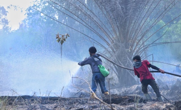 10 Hektar Lahan di Giam Siak Kecil Terbakar