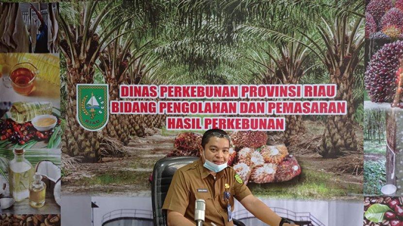 Ini Penyebab Naiknya Harga Sawit di Provinsi Riau
