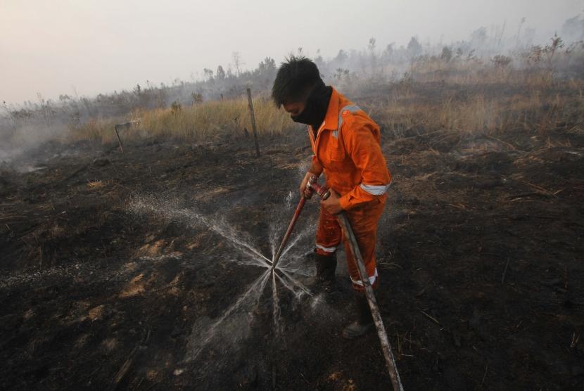 Empat Hektare Lahan Gambut di Rimbo Panjang Terbakar