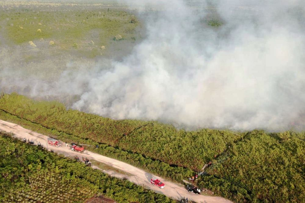 Bengkalis Kebakaran 4 Hektare Lahan, Sempat Terkendala Padankan Api