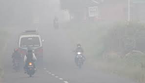 Kualitas Udara di Riau Tidak Sehat