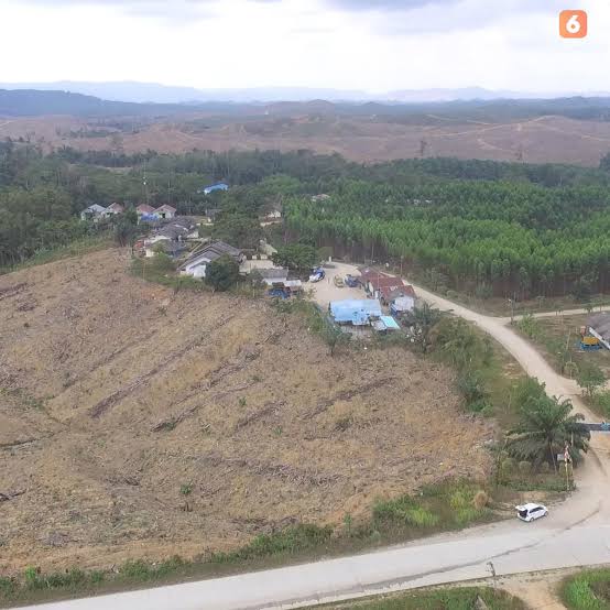 Harga Tanah 1 Ha di Pusat Kota IKN Nusantara Capai Miliaran Rupiah