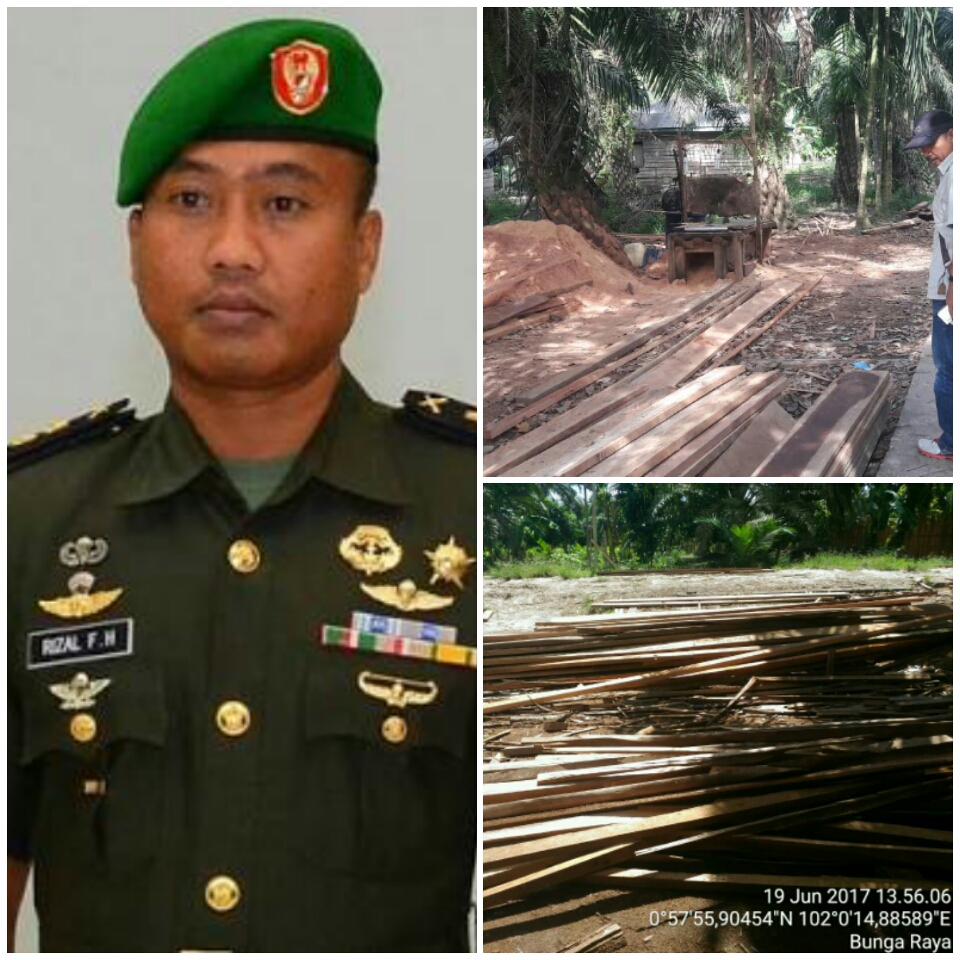 TNI Amankan Puluhan Ton Kayu dari Hutan Lindung Bunga Raya