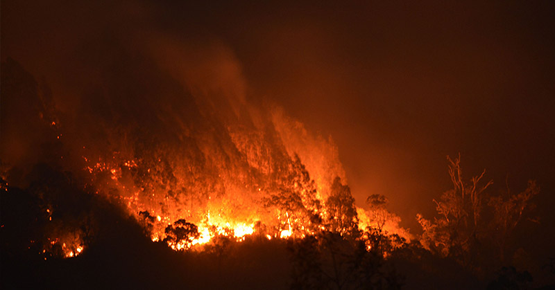 Kebakaran Hutan Dan Lahan Perlu Penanganan Serius