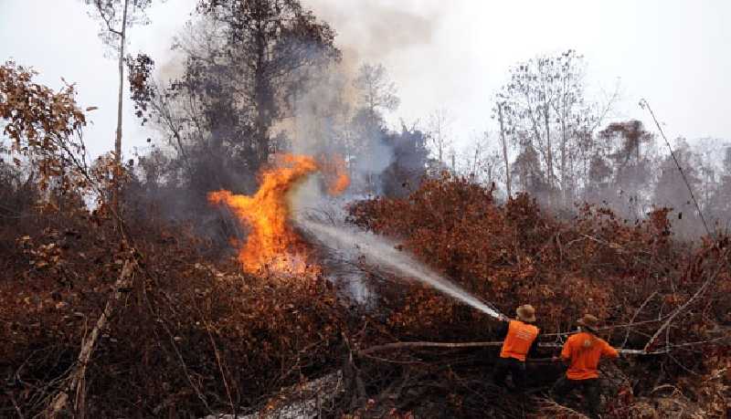 Masuki Musim Kemarau, Kebakaran Hutan dan Lahan Kembali Mengancam Riau