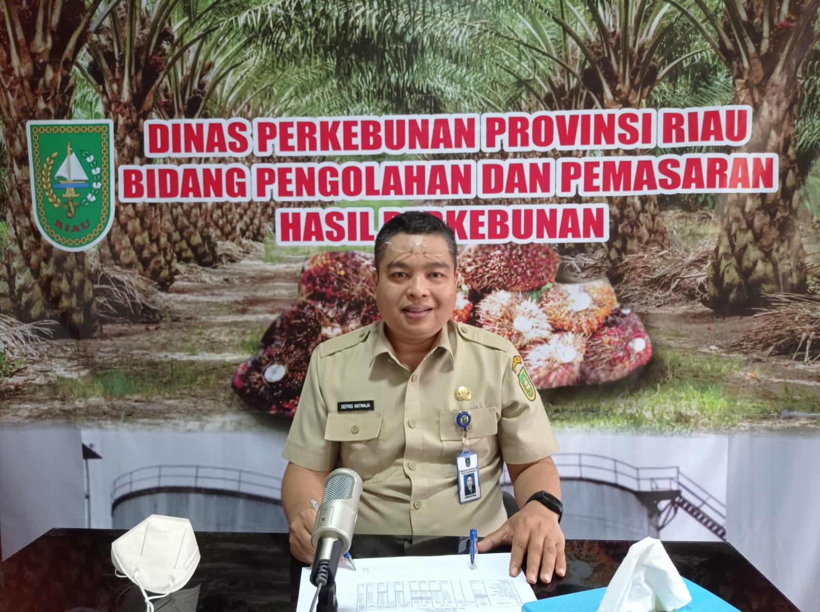 Sawit di Riau Naik, Penyebabnya Karena Harga CPO di Malaysia Bergerak Positif