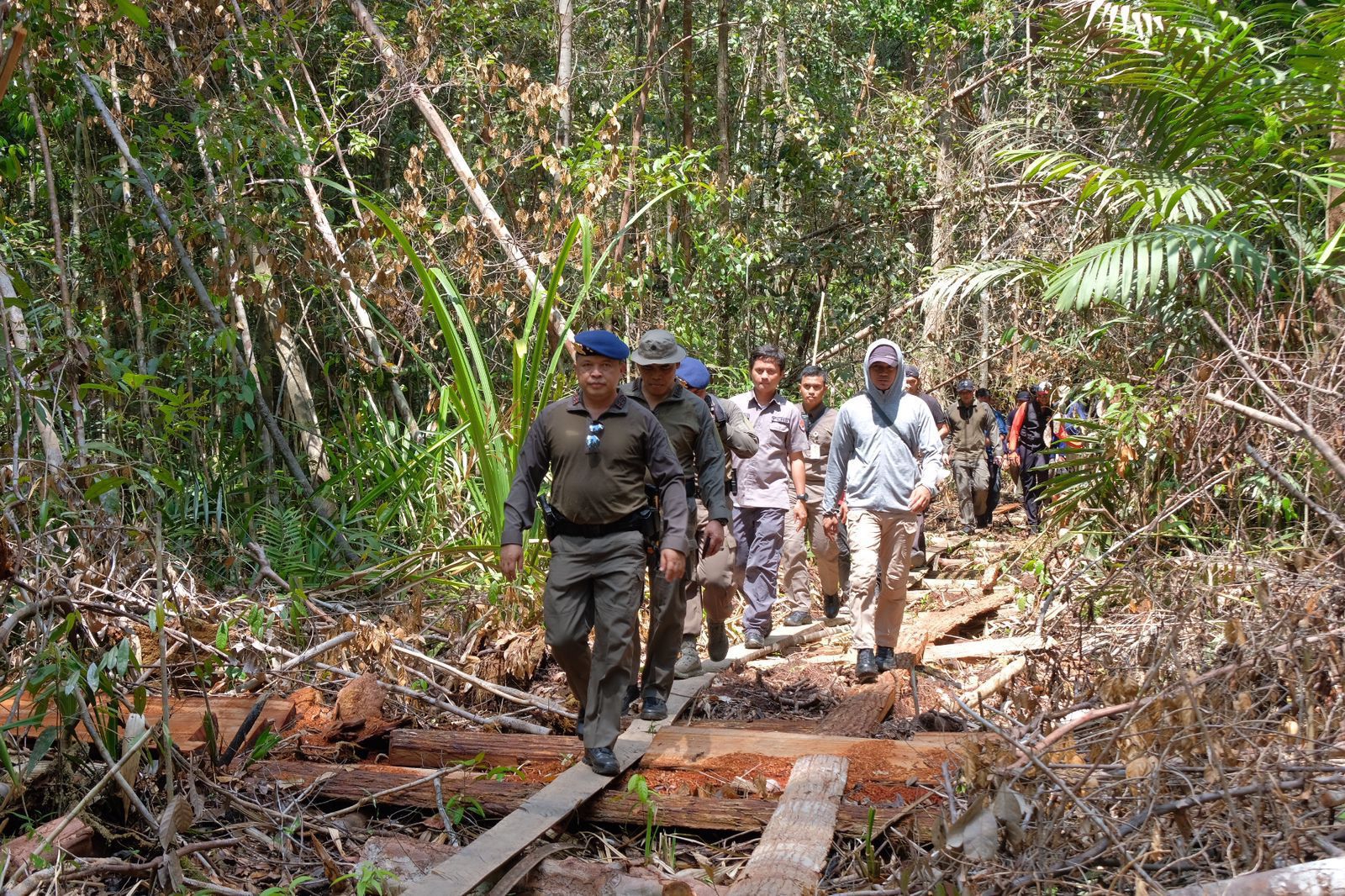 Kapolda Riau: Perambahan Hutan Di Cagar Biosfer Adalah Tindakan Kriminal yang Harus Dihentikan