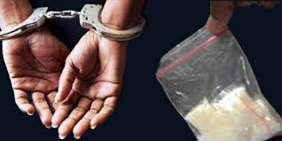 Polisi Ringkus Tiga Pengedar Narkoba di Rumbai, Barang Bukti 82 Paket Sabu