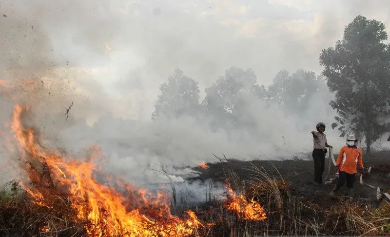 Karhutla Mulai Melanda Sejumlah di Riau