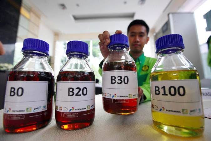 Pemerintah Patok Harga Biodiesel Rp14.436 per Liter pada Maret 2022