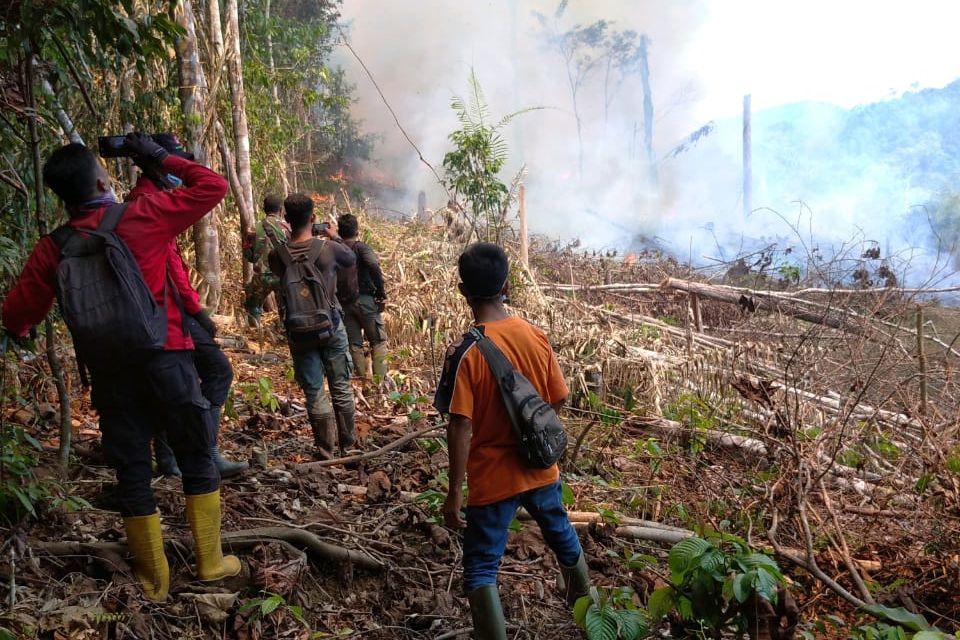 Satgas Karhutla Riau Padamkan Kebakaran di TNBT, Rohil Masih Menyala