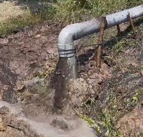 Pipa Limbah PT SLS Bocor, Limbah Berbau Busuk Masuk ke Sungai Tanglo