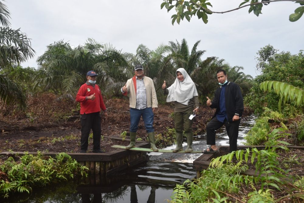 Kadis LHK Riau: Tahun Ini BRG Bangun 120 Sekat Kanal di 4 Kabupaten