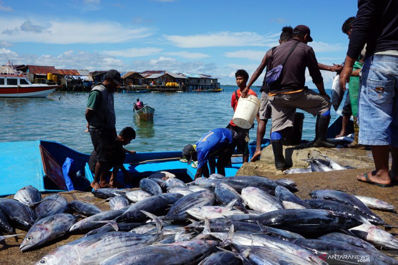 Poros Maritim Dunia Jangan Tinggalkan Nelayan Tradisional